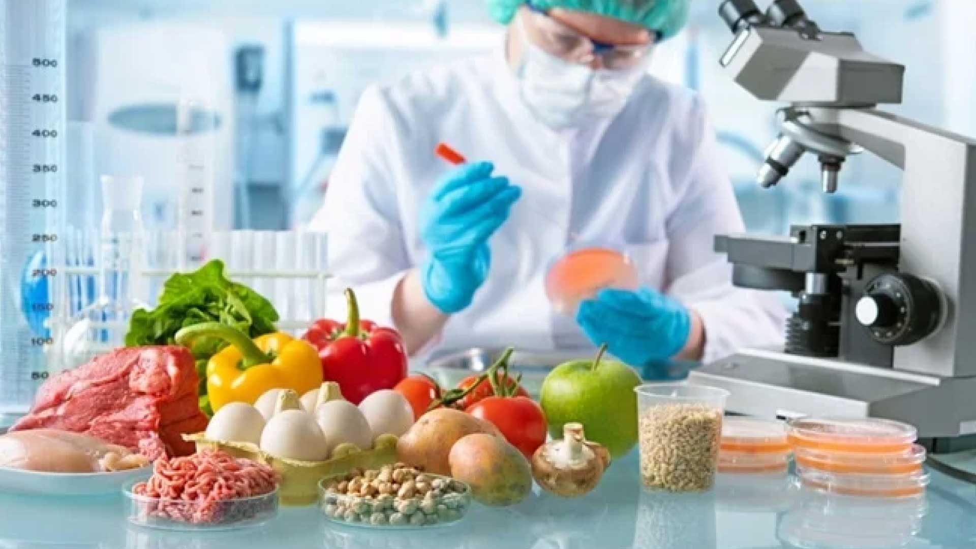 Food Testing Lab Design