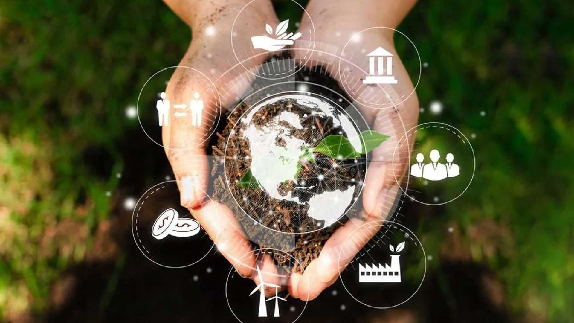 Forestry Management