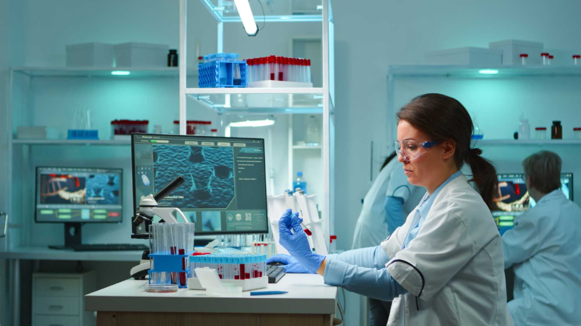 Laboratory Setup
