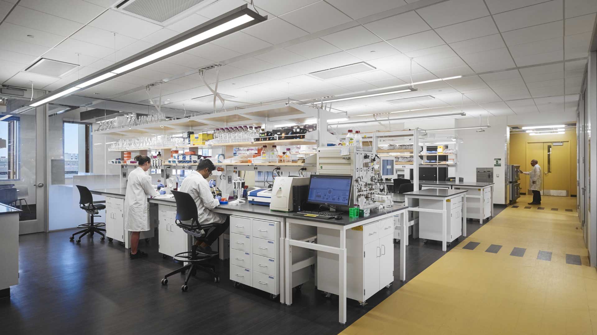 Microbiology Lab Setup