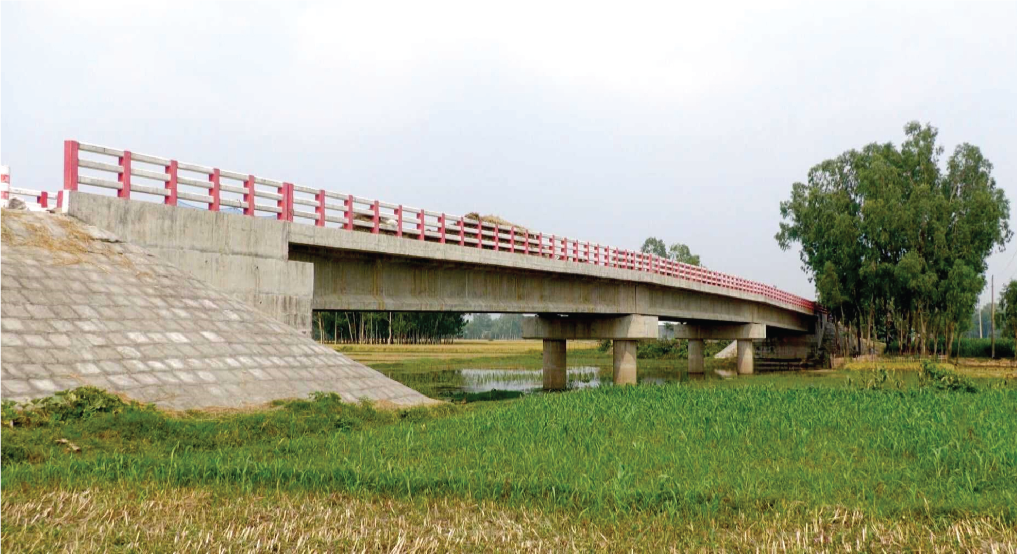 Local Bridge Construction