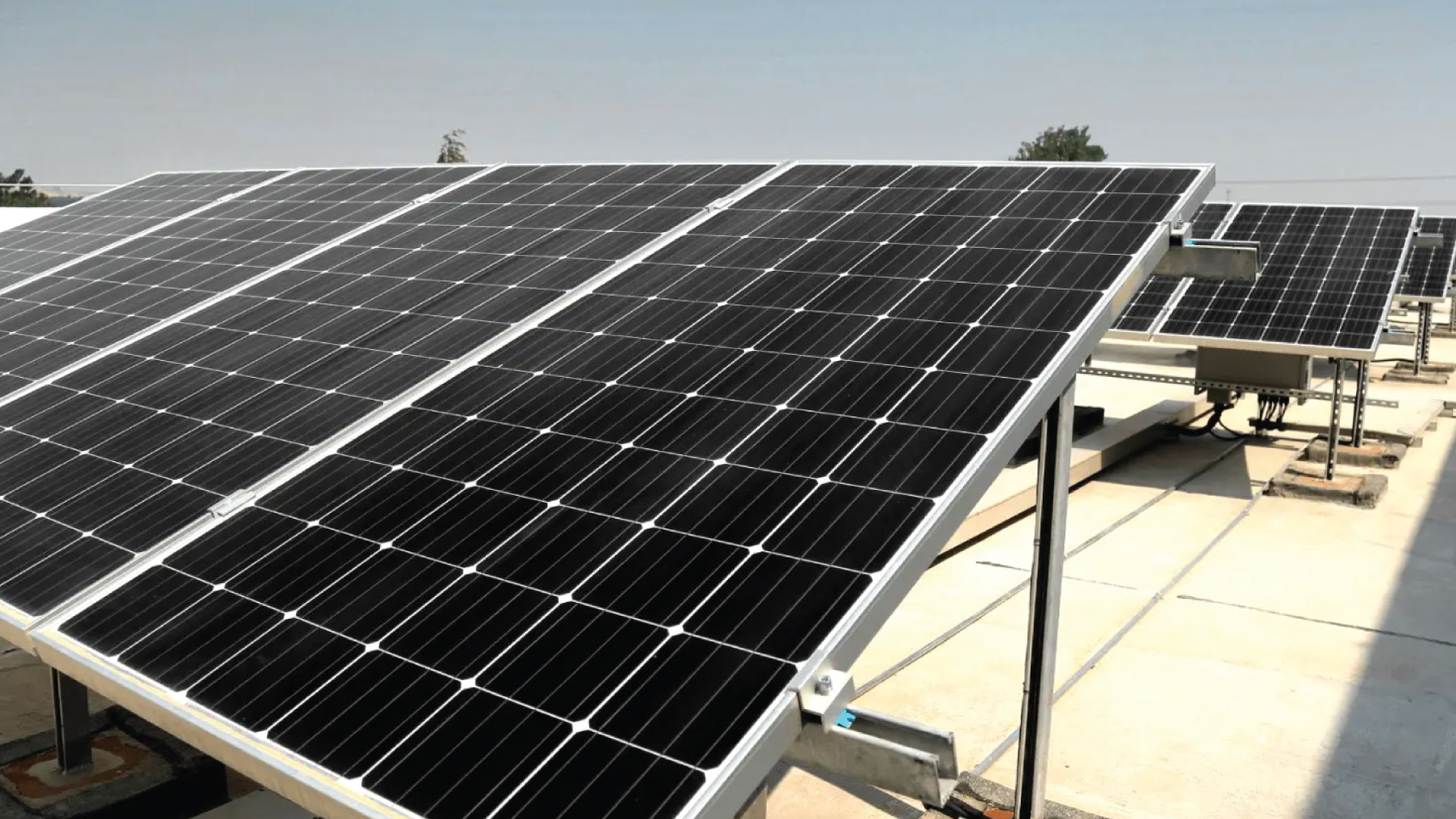 Topcon Solar Module