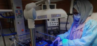 Biomedical & Healthcare