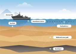 Survey Seismic Analysis